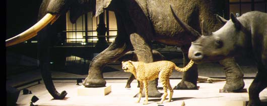 Imagen de «Nicolas Philibert, 4»